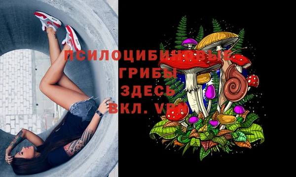 синтетический гашиш Богданович
