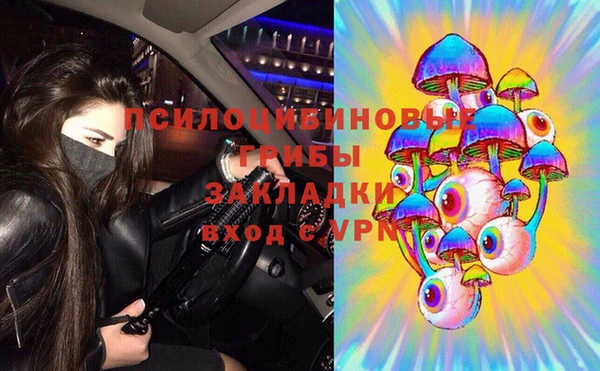 гашик Богородицк
