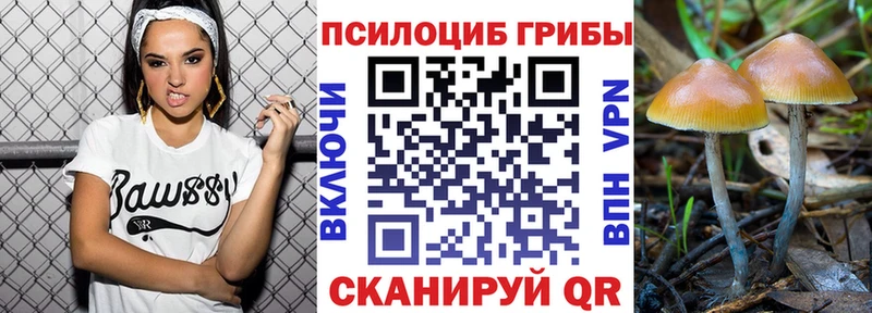 Псилоцибиновые грибы мицелий  Навашино 